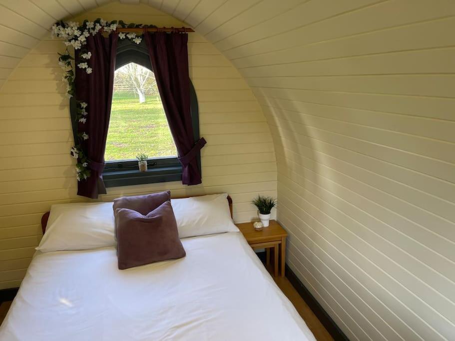 Belle Vista Glamping & Camping York Dış mekan fotoğraf