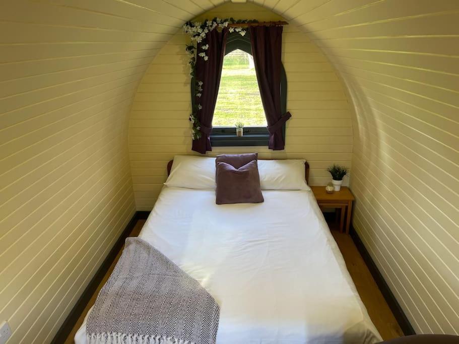 Belle Vista Glamping & Camping York Dış mekan fotoğraf