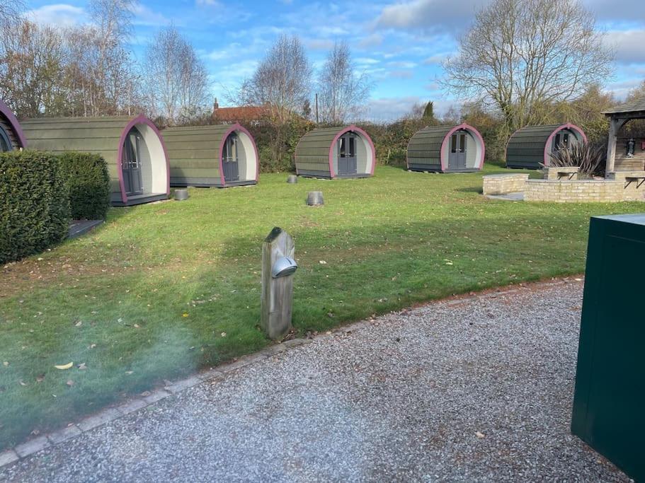 Belle Vista Glamping & Camping York Dış mekan fotoğraf
