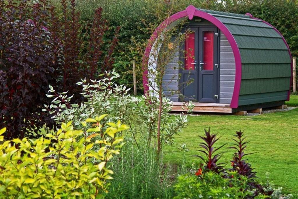Belle Vista Glamping & Camping York Dış mekan fotoğraf