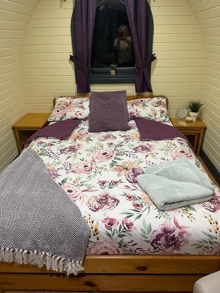 Belle Vista Glamping & Camping York Dış mekan fotoğraf