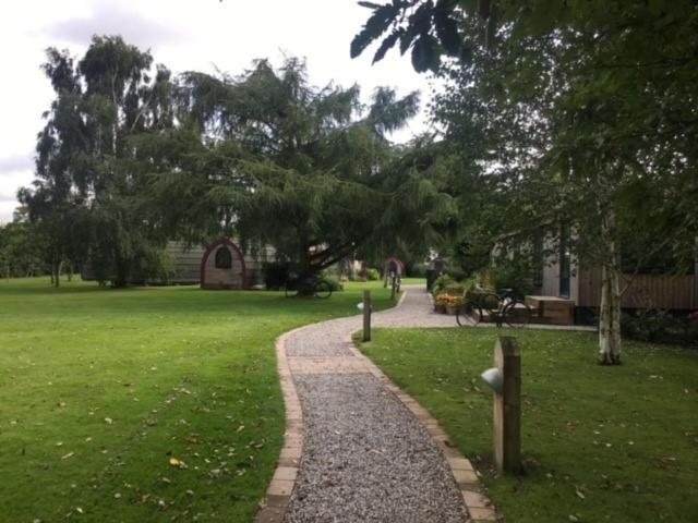 Belle Vista Glamping & Camping York Dış mekan fotoğraf