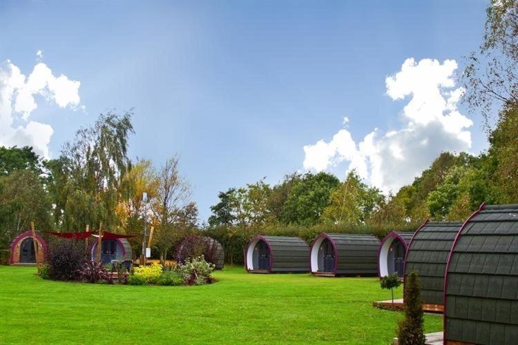 Belle Vista Glamping & Camping York Dış mekan fotoğraf
